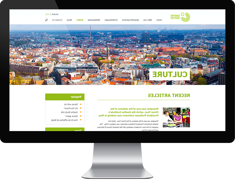 歌德语言文化中心网站网站设计-Flow Asia